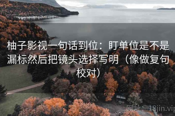 柚子影视一句话到位：盯单位是不是漏标然后把镜头选择写明（像做复句校对）