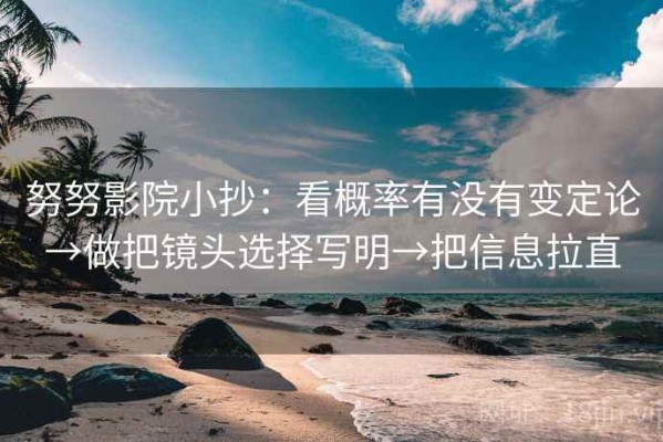努努影院小抄：看概率有没有变定论→做把镜头选择写明→把信息拉直