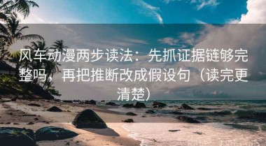 风车动漫两步读法：先抓证据链够完整吗，再把推断改成假设句（读完更清楚）