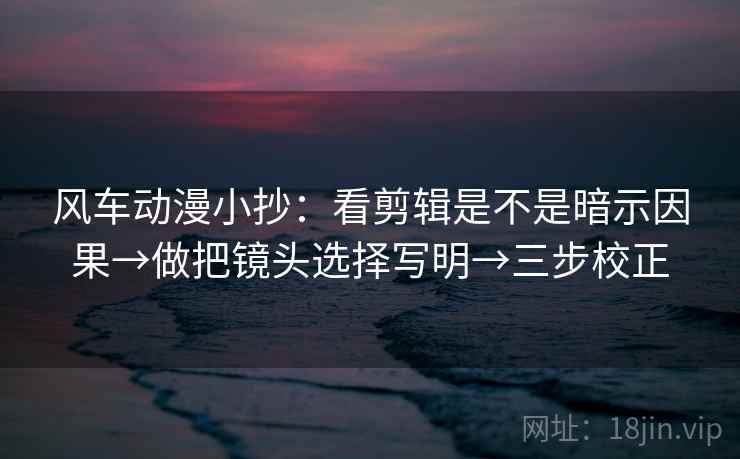 风车动漫小抄：看剪辑是不是暗示因果→做把镜头选择写明→三步校正