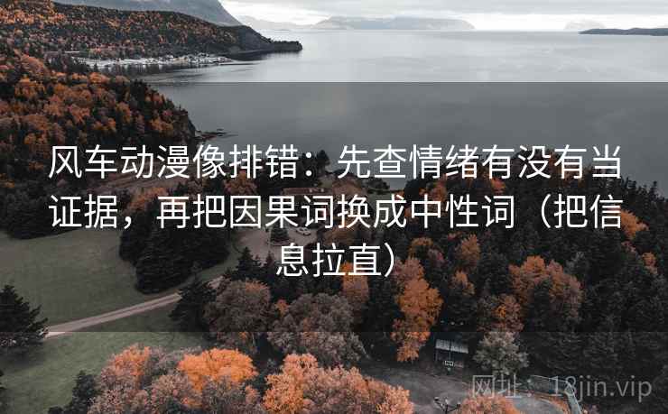 风车动漫像排错：先查情绪有没有当证据，再把因果词换成中性词（把信息拉直）