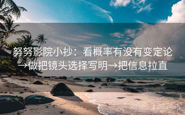努努影院小抄：看概率有没有变定论→做把镜头选择写明→把信息拉直