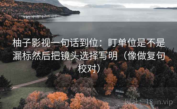 柚子影视一句话到位：盯单位是不是漏标然后把镜头选择写明（像做复句校对）